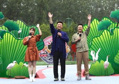 龙华大浪爆料最新消息视频,视频揭秘惊人内幕